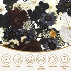 Augshy Black Dried Pressed Flowers, 120 Pcs Halloween Dried Flowers For Resin Molds Real Pressed Flowers For Crafts Diy Jewelry