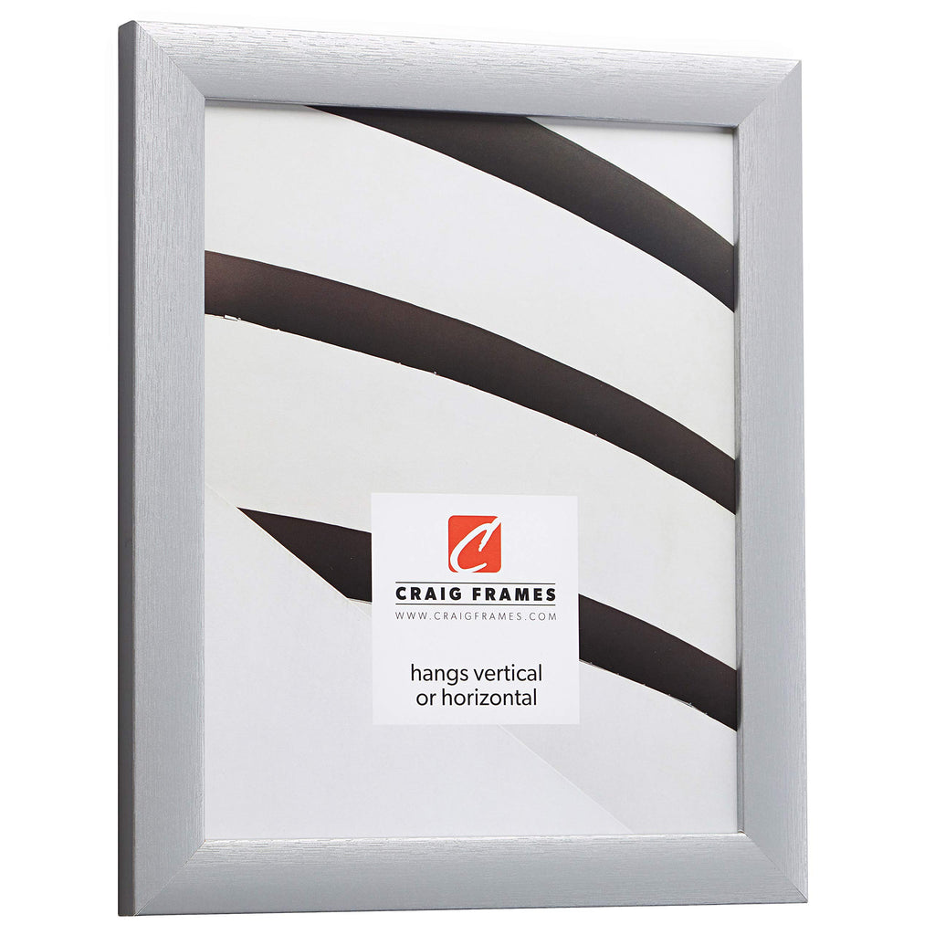 Craig Frames Contemporary Picture Frame, 10 X 12 Inch, Brushed Silver