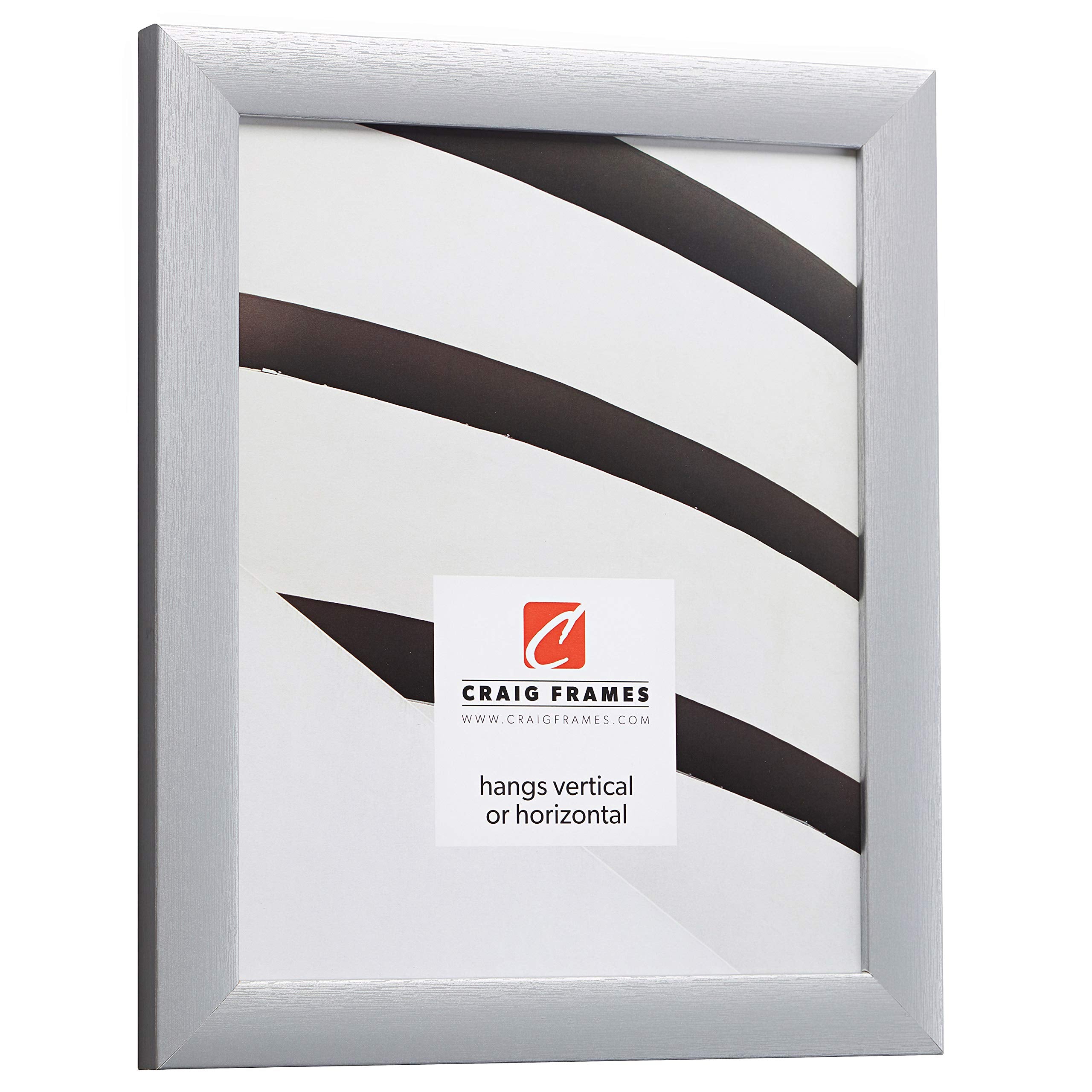 Craig Frames Contemporary Picture Frame, 15 X 22 Inch, Brushed Silver