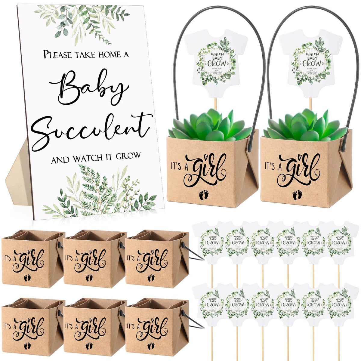 Geetery 101 Pcs Succulent Baby Shower Party Favor 1 Wooden Table Sign 50 Watch Me Grow Tags And 50 Kraft Succulent Pots For Gues