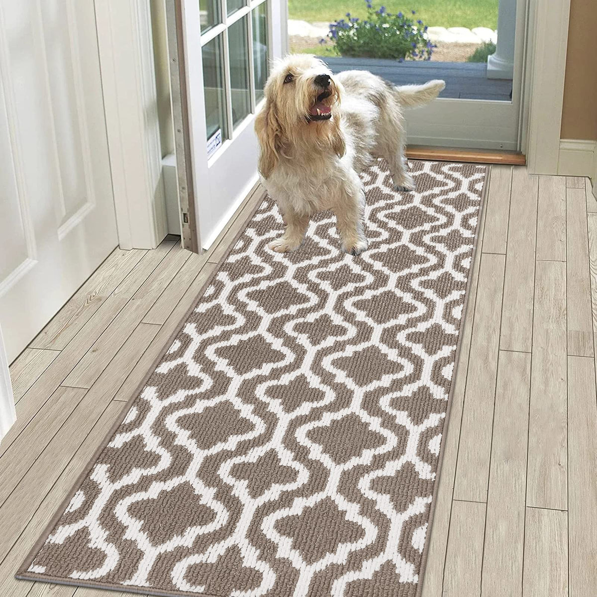 Hebe Indoor Doormat Runner 20'X59' Non Slip Front Door Welcome Mat Washable Shoe Mats For Entryway Low Profile Kitchen Carpet