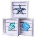 LODOCAVE Suitable for Beach theme room & Beach House Decor, Seashell Starfish Decor 3D Art Beach Wall Decor , Ocean Decorations 