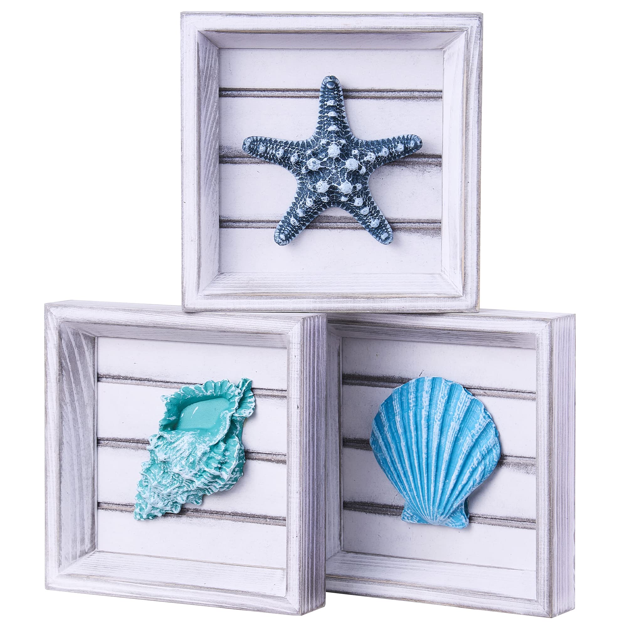 LODOCAVE Suitable for Beach theme room & Beach House Decor, Seashell Starfish Decor 3D Art Beach Wall Decor , Ocean Decorations 