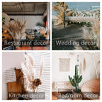 46'' Inch 10 Stems Natural Pampas Grass Decor Tall, Pompas Grass, Tall Pampas Grass For Weddingm, Farmhouse, Boho Home Decor (Gr