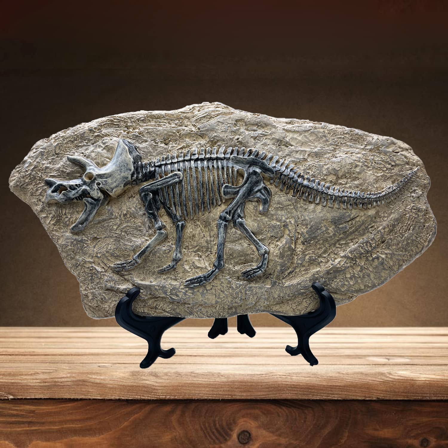 XINDAM Resin Triceratops Dinosaur Fossil Statue Model Simulated Skeleton Home Office Display Decorative Craft Box Decoration (St