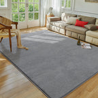 Softlife Washable Living Room Rug, 5x7 Grey Area Rugs for Bedroom, Soft Fluffy Fuzzy Carpet Bedside Rug Indoor Non-Slip Rug for 