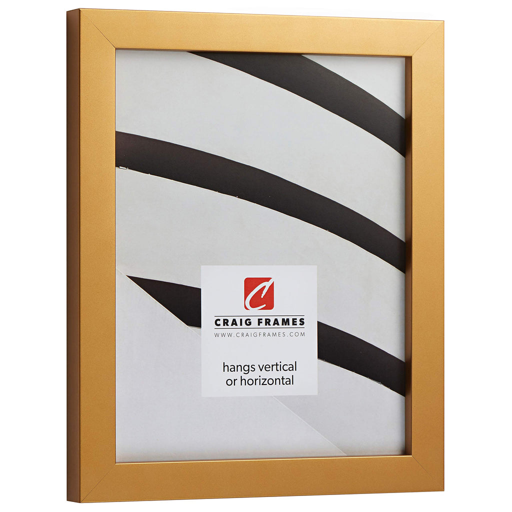 Craig Frames Confetti, Modern Gold Picture Frame, 12 X 16 Inch