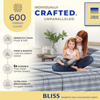 Thread Spread 100% Egyptian Cotton Printed Bed Sheets - 600 Thread Count 4 Pc King Sheet Set, Hotel Luxury Sateen Bedsheets, 16' Deep Pocket Soft Cooling Sheets For King Size Bed - Variegated Stripe