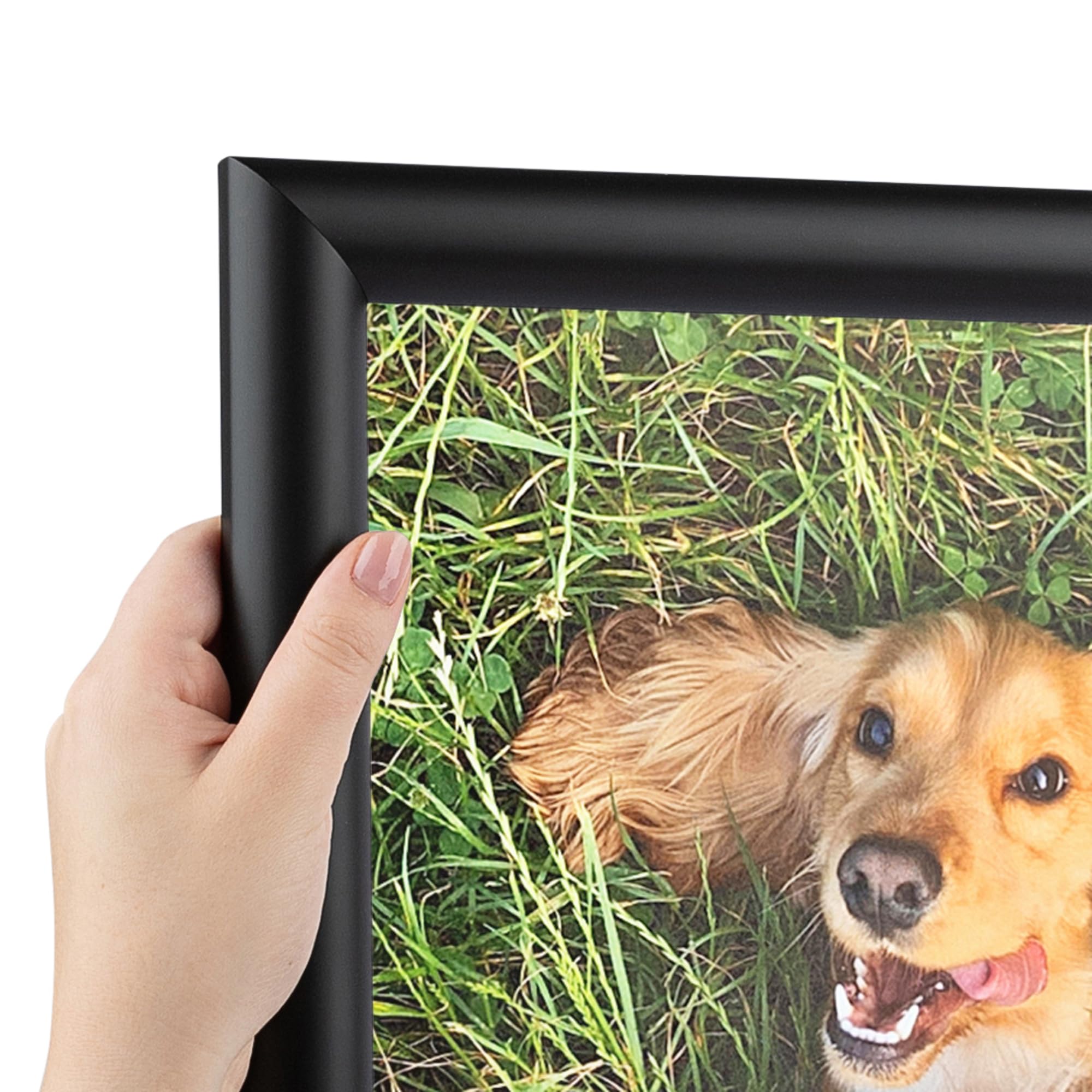 ArtToFrames 10x32 inch 1.25 Satin Black Bull Nose Wood Picture Frame, 2WOM10025-10x32