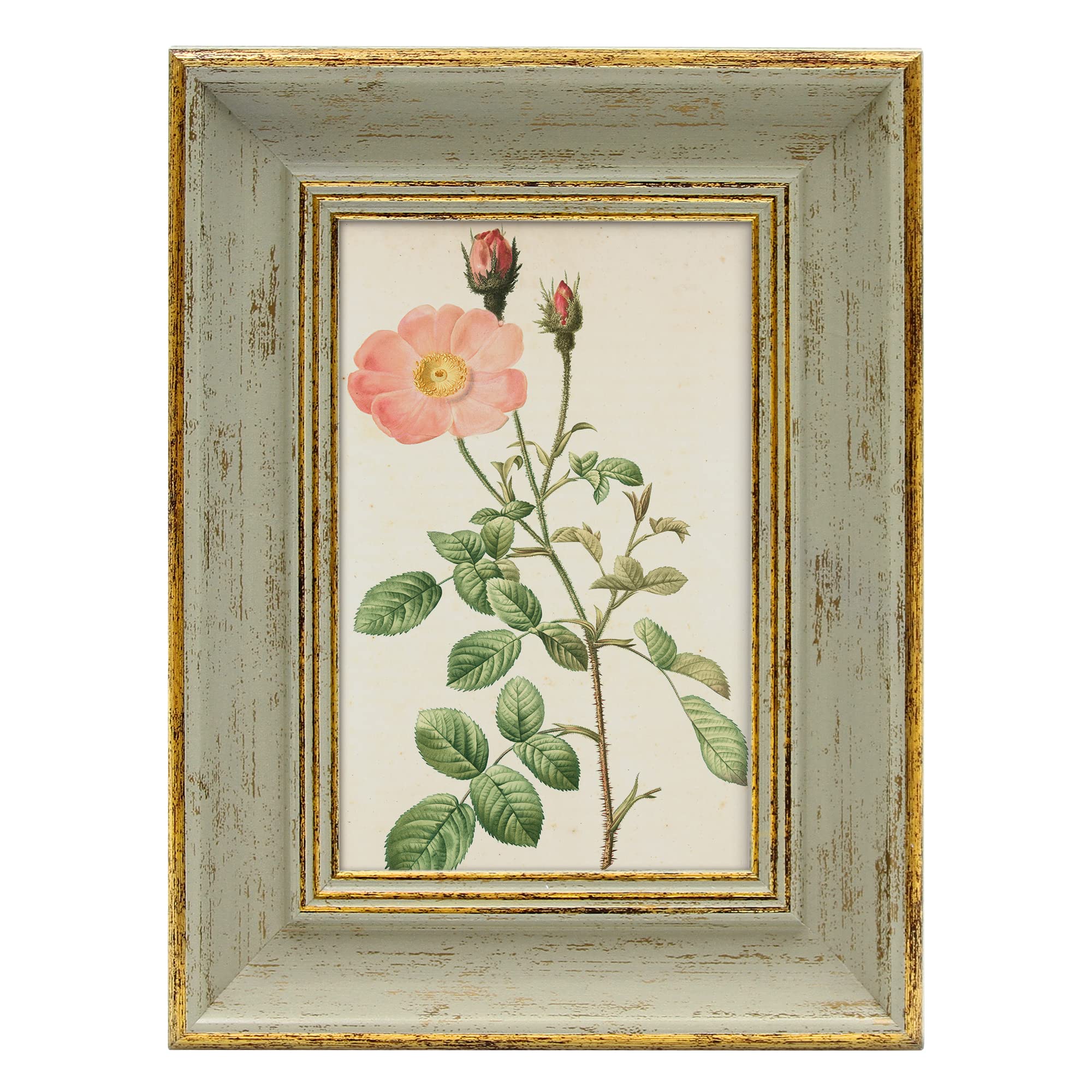 Sapowerntus Vintage 4x6 Picture Frame Gold Line Sage Green Distressed Photo Frames Set Antique Real Glass Wall Hanging Tabletop 