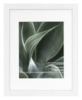 MCS Framatic Modern 11x14 Inch Frame with Mat for 8x10 Inch Photo, White (302198)