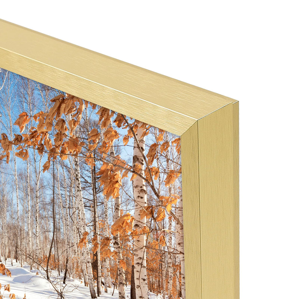 Golden State Art, 14X24 Aluminum Gold Picture Frame With Acrylic Front, Swivel Tabs, Sawtooth Hangers, Spring Clips, Metal Wall
