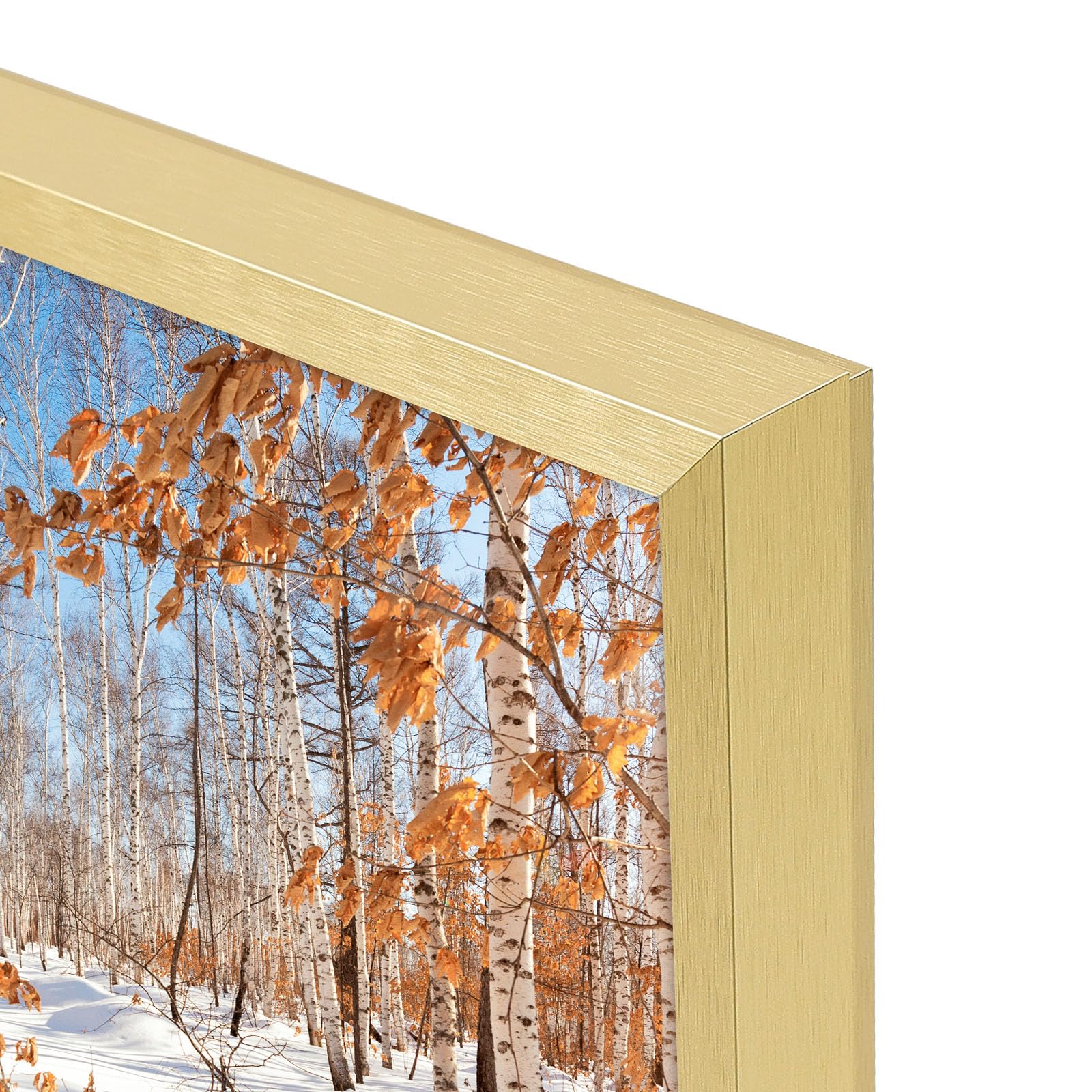 Golden State Art, 14X24 Aluminum Gold Picture Frame With Acrylic Front, Swivel Tabs, Sawtooth Hangers, Spring Clips, Metal Wall