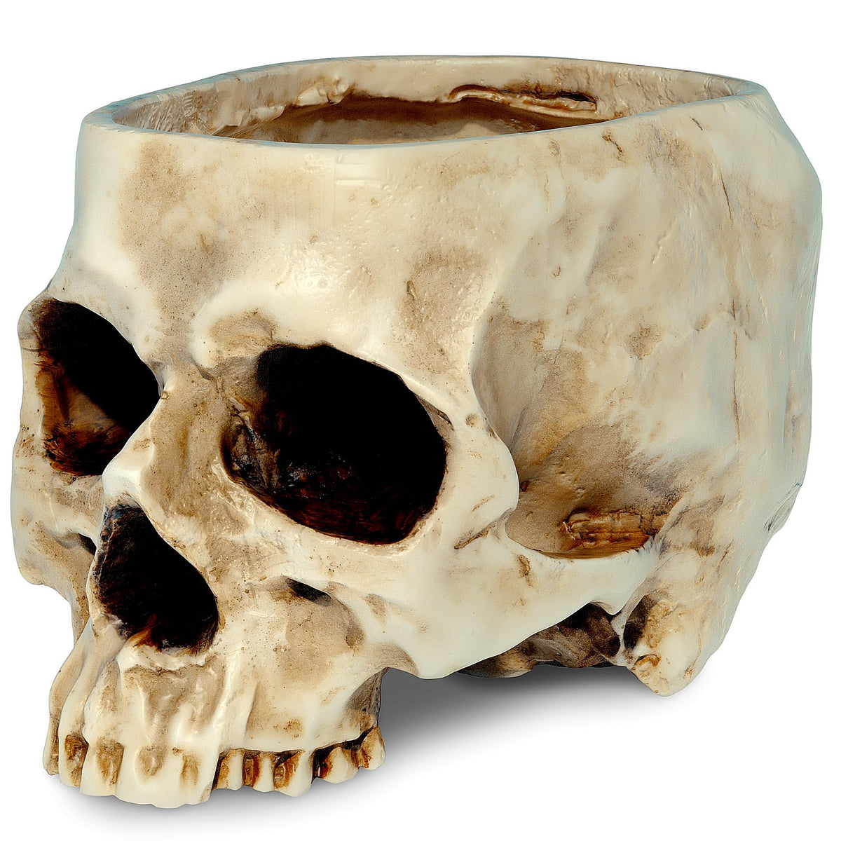 Readaeer Skull Bowl Resin Skull Shaped Planter Flower Pot Candy Bowl For Home Office Indoor Desk Decorations - White