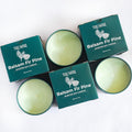Balsam Fir Pine - Soy Candles for Home Scented - Pack of 3 x 5oz Natural Clean Non Toxic - for Fall Winter Christmas Holidays - 