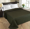 Goyals Polar Fleece Double Bed Blanket 250TC  Pack of 1 (Green)