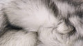 HomeRoots Decor 24' X 72' X 1.5' Acrylic Plush Polyester Rug - Grey, Faux Sheepskin
