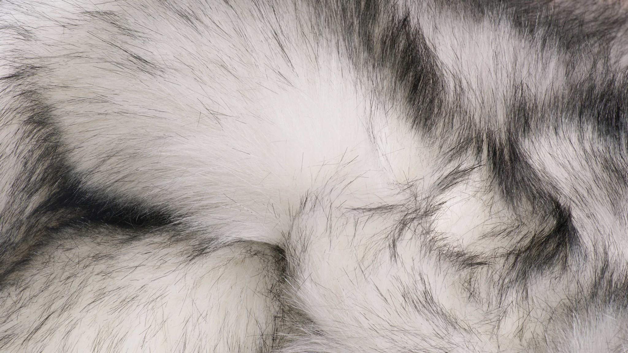 HomeRoots Decor 24' X 72' X 1.5' Acrylic Plush Polyester Rug - Grey, Faux Sheepskin