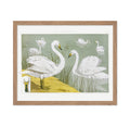 Poster Master Classic Animal Poster - Vintage Aesthetic Print - Gift for Artist, Friend - White Wild Swans On The Lake, Nature, 