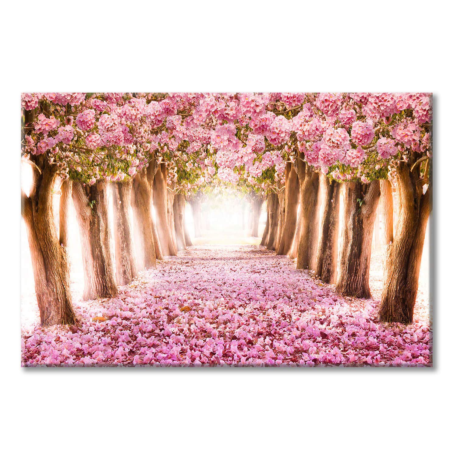 UTOP-art Pink Flower Tree Picture Artwork: Blooming Floral Forest Path Wall Art Painting on Canvas for Bedroom (45 x 30 x 1 