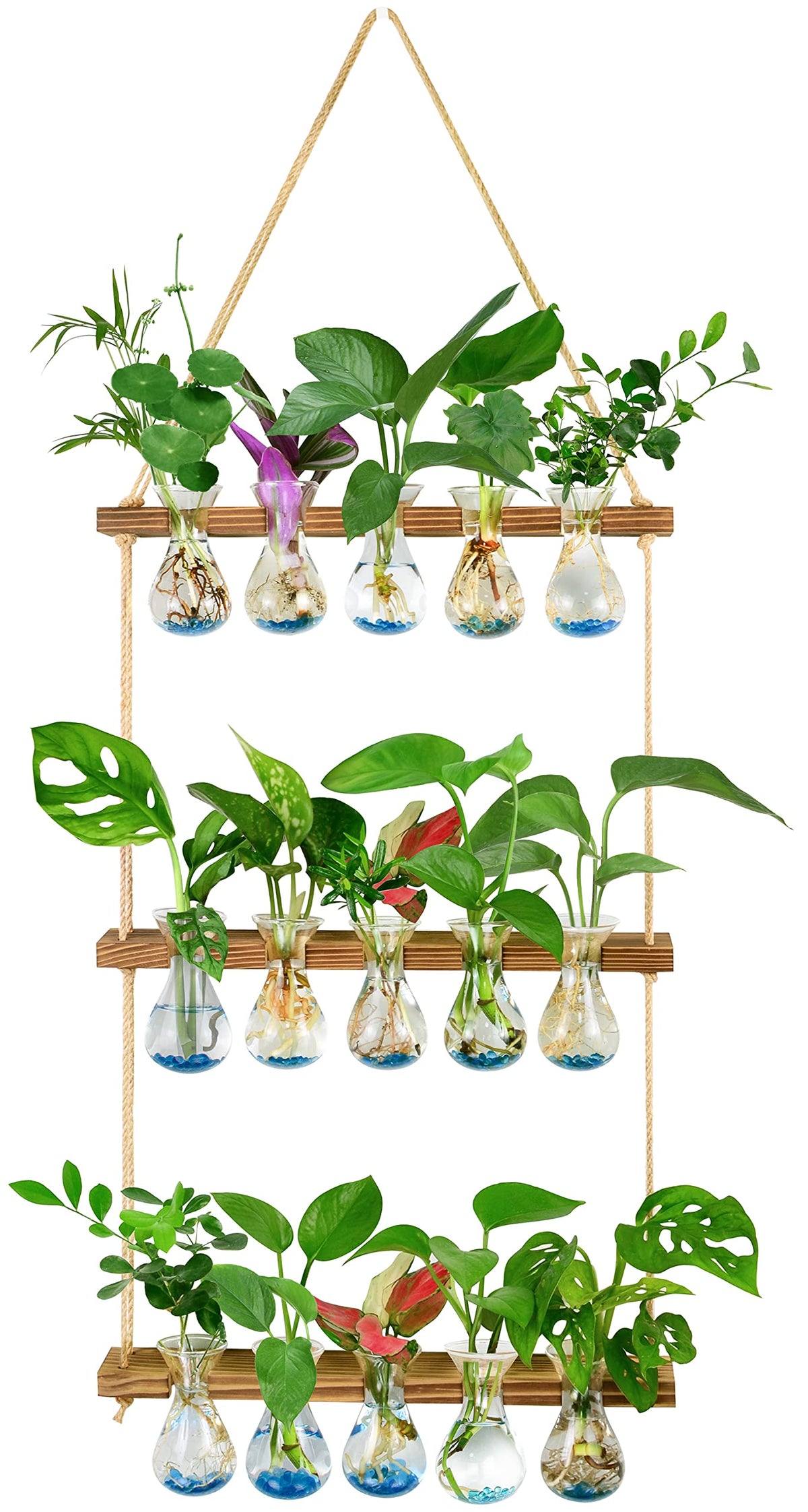 Xxxflower Wall Hanging Propagation Station With Wooden Stand 5 Bulb Vase 3 Tiered Planters Wall Terrarium For Home Office Plant