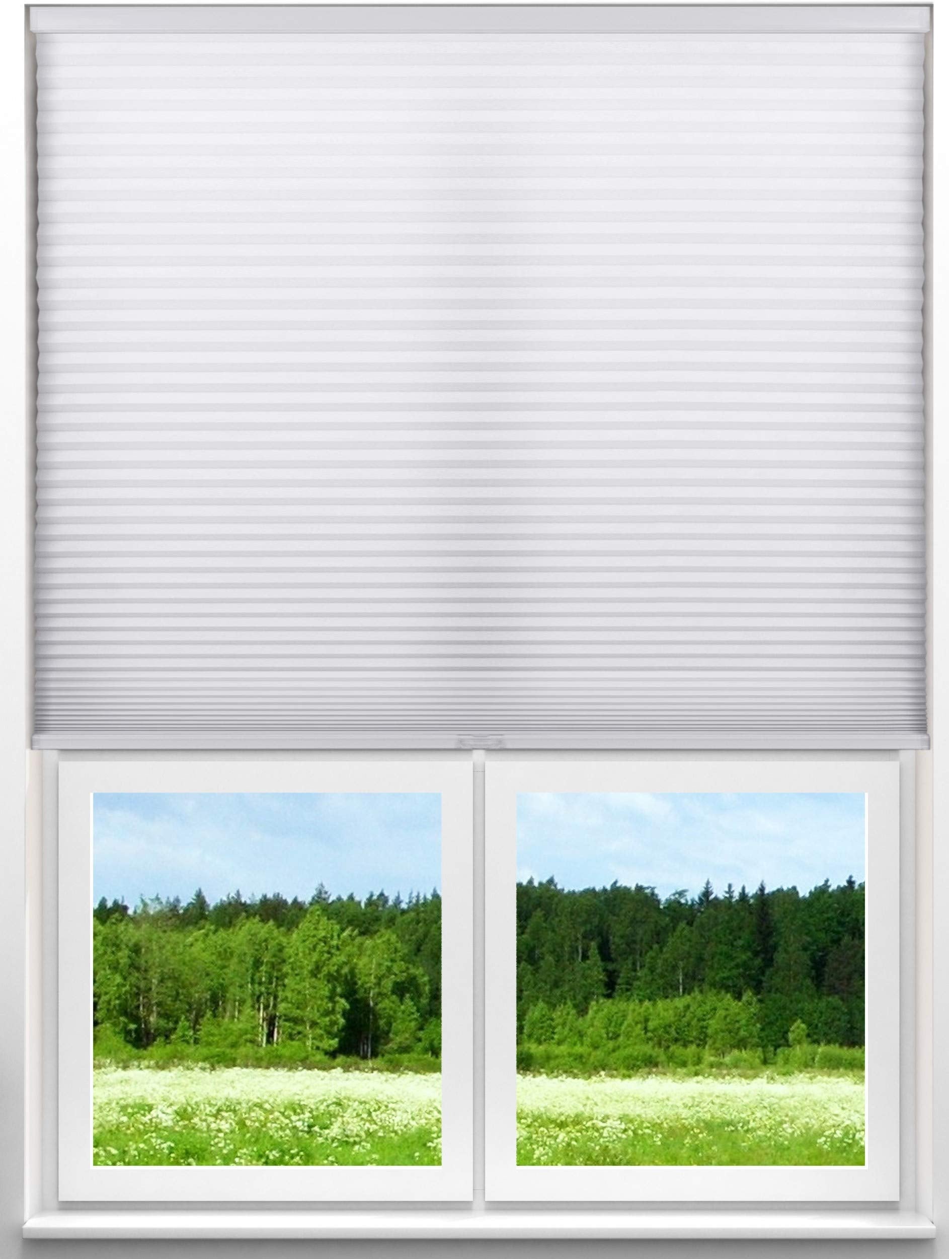 Arlo Blinds Single Cell Light Filtering Cordless Cellular Shades, Color: Pure White, Size: 31.5'' W X 72'' H