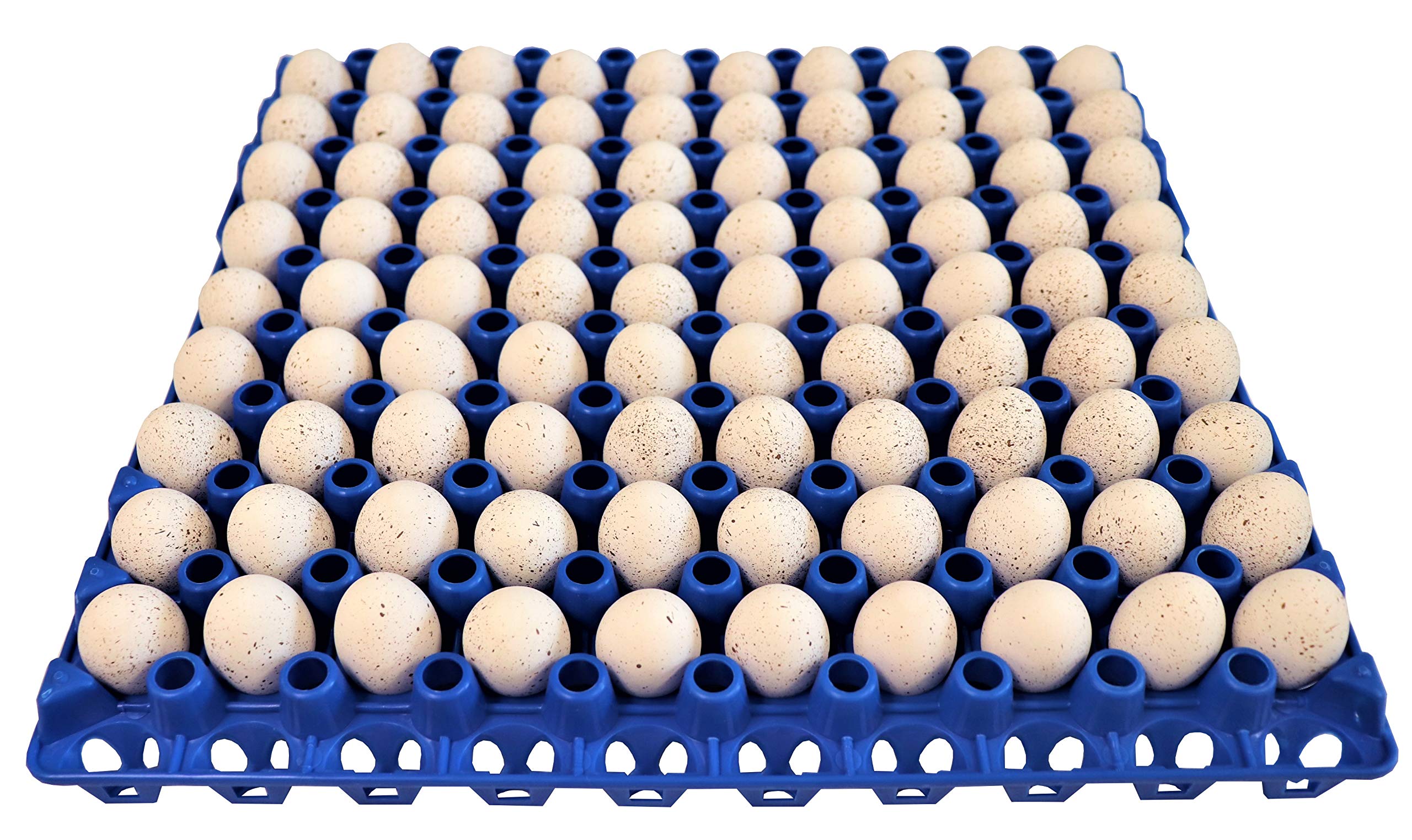 Rite Farm Products 24 90 Egg Plastic Trays Quail Pigeon Dove Bird Flat Carton