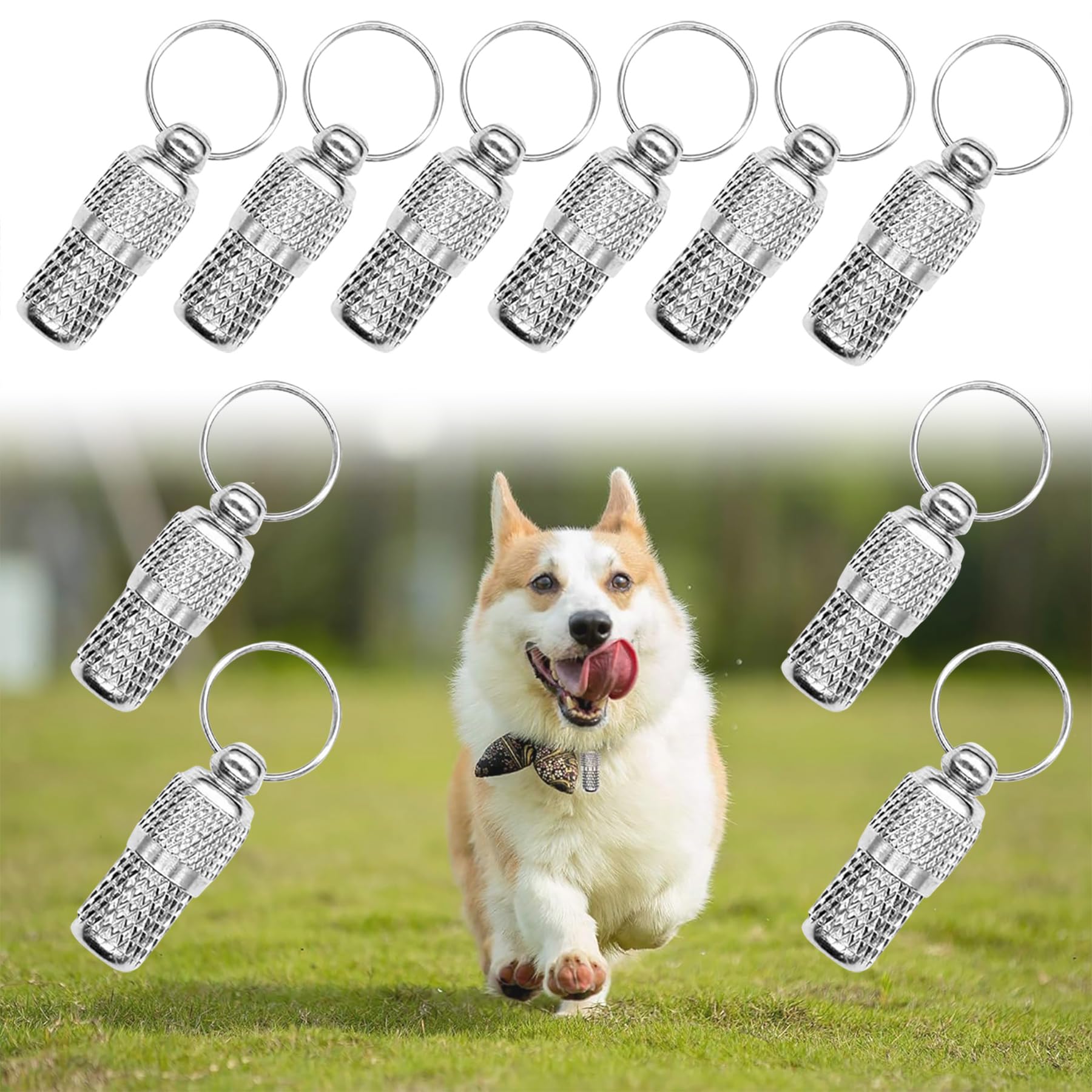 Auear, Pet Id Tags Name Address Cell Phone Number Tags Stainless Steel Personalized Dog Cat Tags Small Animal Id Tag Barrel Tube