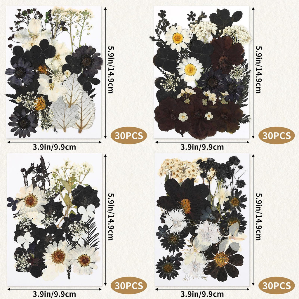 Augshy Black Dried Pressed Flowers, 120 Pcs Halloween Dried Flowers For Resin Molds Real Pressed Flowers For Crafts Diy Jewelry