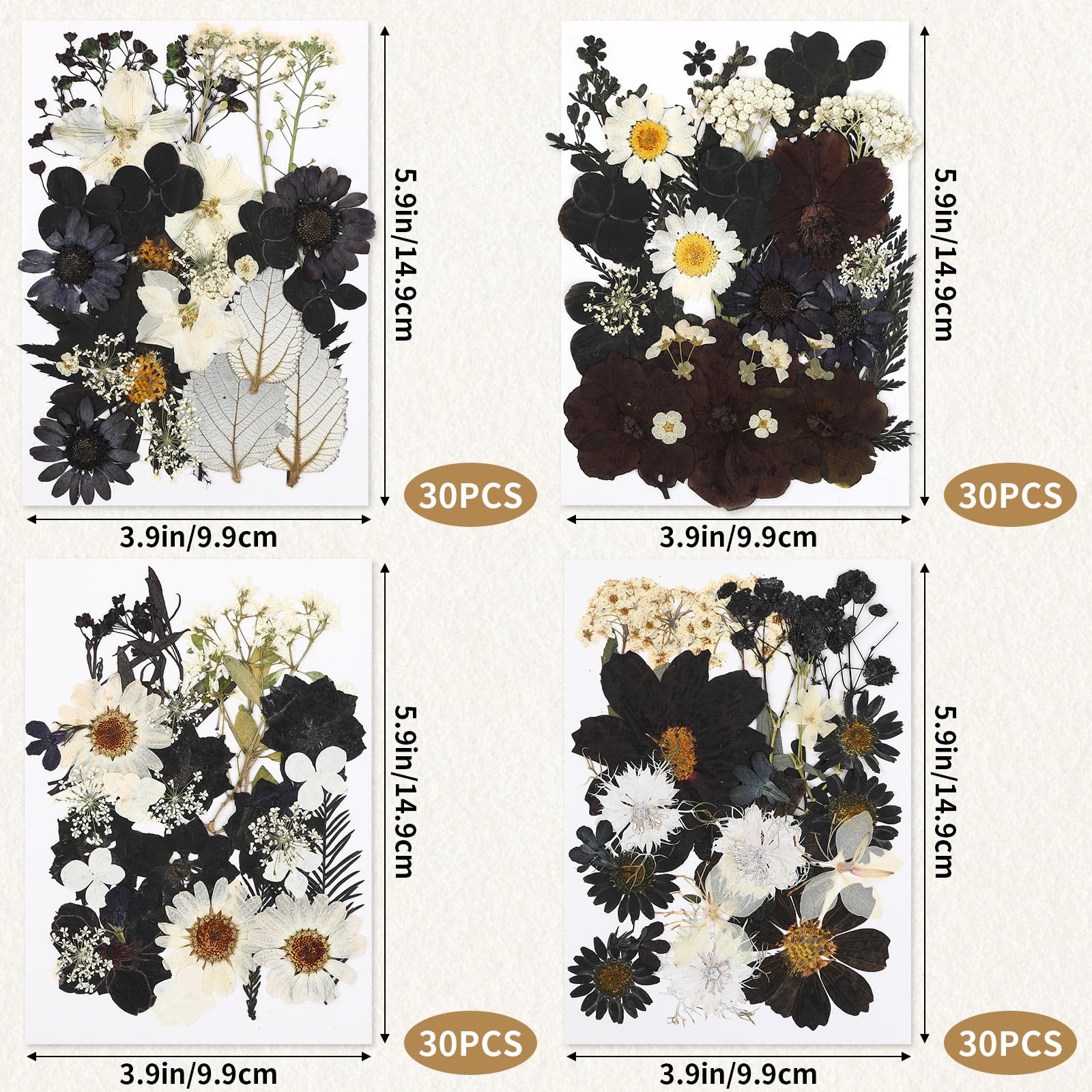 Augshy Black Dried Pressed Flowers, 120 Pcs Halloween Dried Flowers For Resin Molds Real Pressed Flowers For Crafts Diy Jewelry