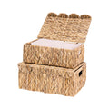 LUSYDECO Set of 2 Scalloped Edge Wicker Basket with Lids, Rectangle Wicker Storage Basket with Builtin Handles, Multipurpose Or