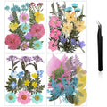 Nuanchu Pressed Flowers Bulk Dried Flower for Crafts, Dried Wildflowers Leave Natural with Tweezer for Resin Mold Scrapbooking N