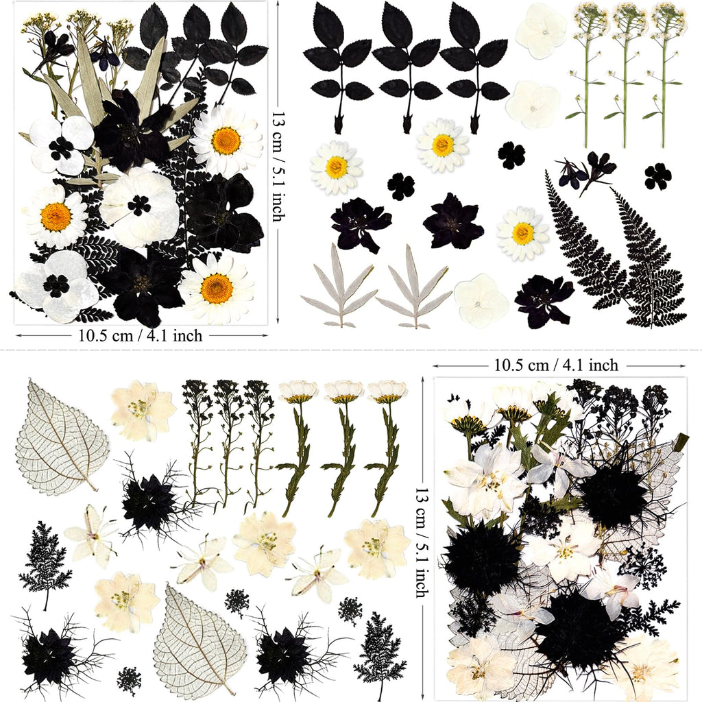 Mikiya 90Pcs Black Pressed Dried Flowers For Resin Molds, Real Natural Bulk Dry Floral Leave For Diy Art Crafts, Epoxy Jewelry,