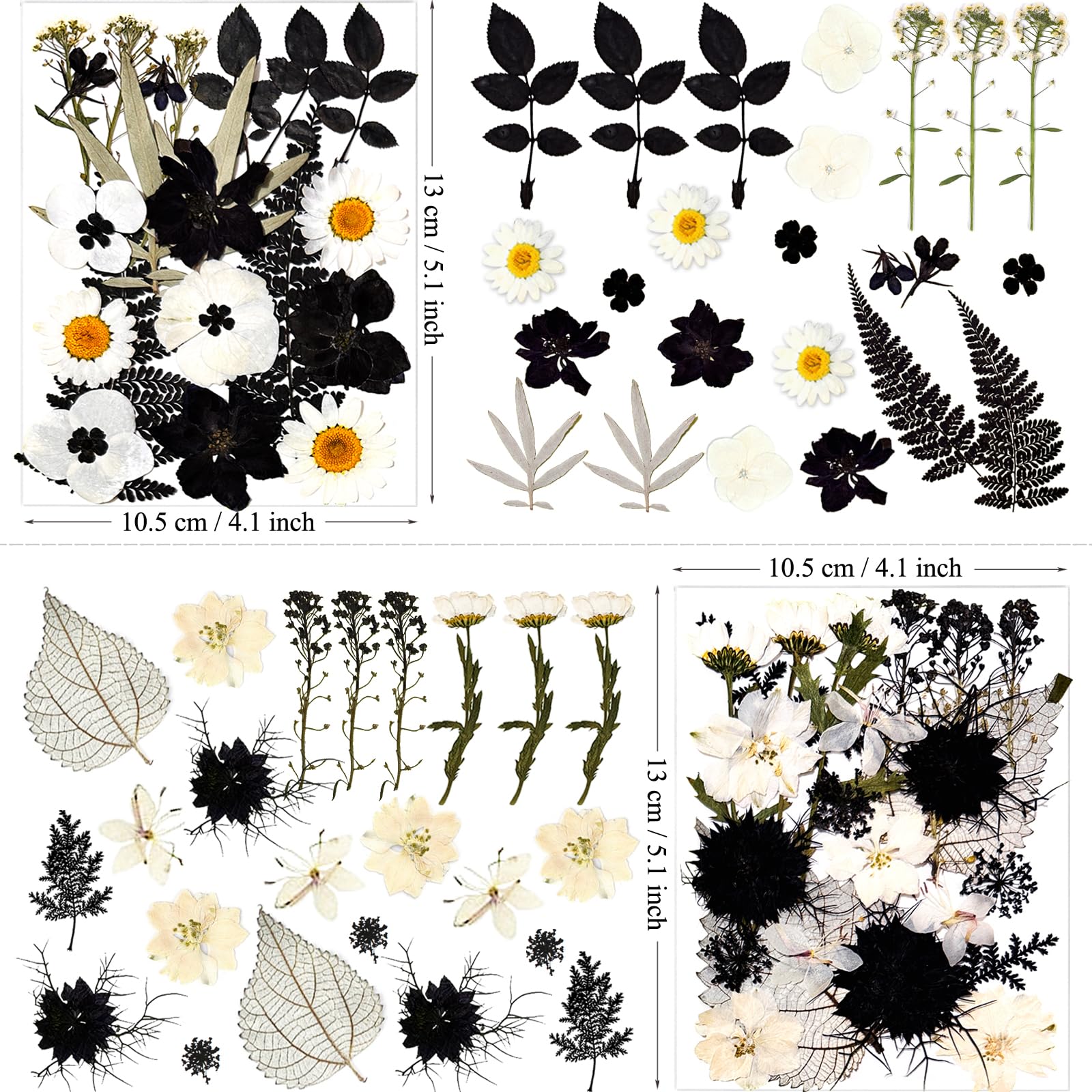 Mikiya 90Pcs Black Pressed Dried Flowers For Resin Molds, Real Natural Bulk Dry Floral Leave For Diy Art Crafts, Epoxy Jewelry,