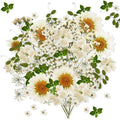 Nuanchu 81 Pieces Pressed Flowers Bulk White Dried Flowers for Resin Mold, Dried Flower Leave Natural with Tweezer for Crafts Ch