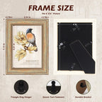 Aaq 4 Pack 4X6 Picture Frame - Picture Frames With Plexiglass,Photo Frame For Wall & Tabletop Picture Frames