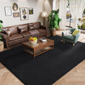 Amearea Modern Area Rugs for Bedroom Living Room, 4x6 Feet Black Thickened Memory Foam Rug, Fluffy Indoor Washable Rugs Non Slip