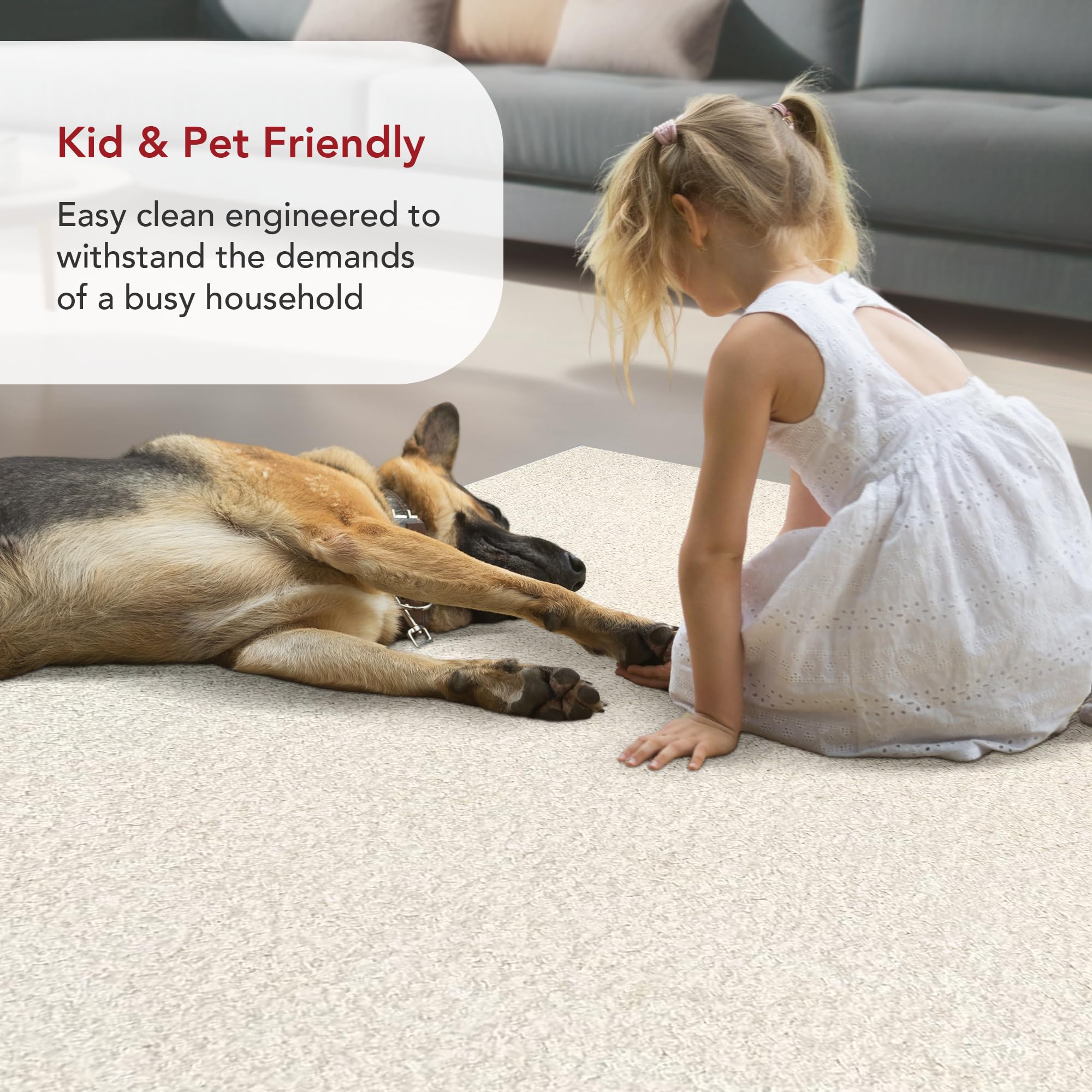 Nuloom Marlow Machine Washable Soft Shaggy Faux Sheepskin Area Rug, 4X6, White