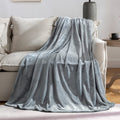 Jiahannha Grey Throw Blankets,Fleece Blanket Throw Size 50''  60'',Super Soft Cozy Plush Light Grey Blanket For Couch Sofa Bed,F