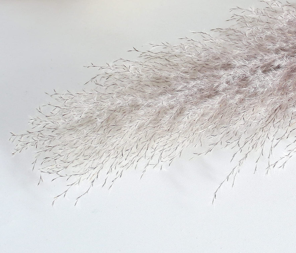 46'' Inch 10 Stems Natural Pampas Grass Decor Tall, Pompas Grass, Tall Pampas Grass For Weddingm, Farmhouse, Boho Home Decor (Gr