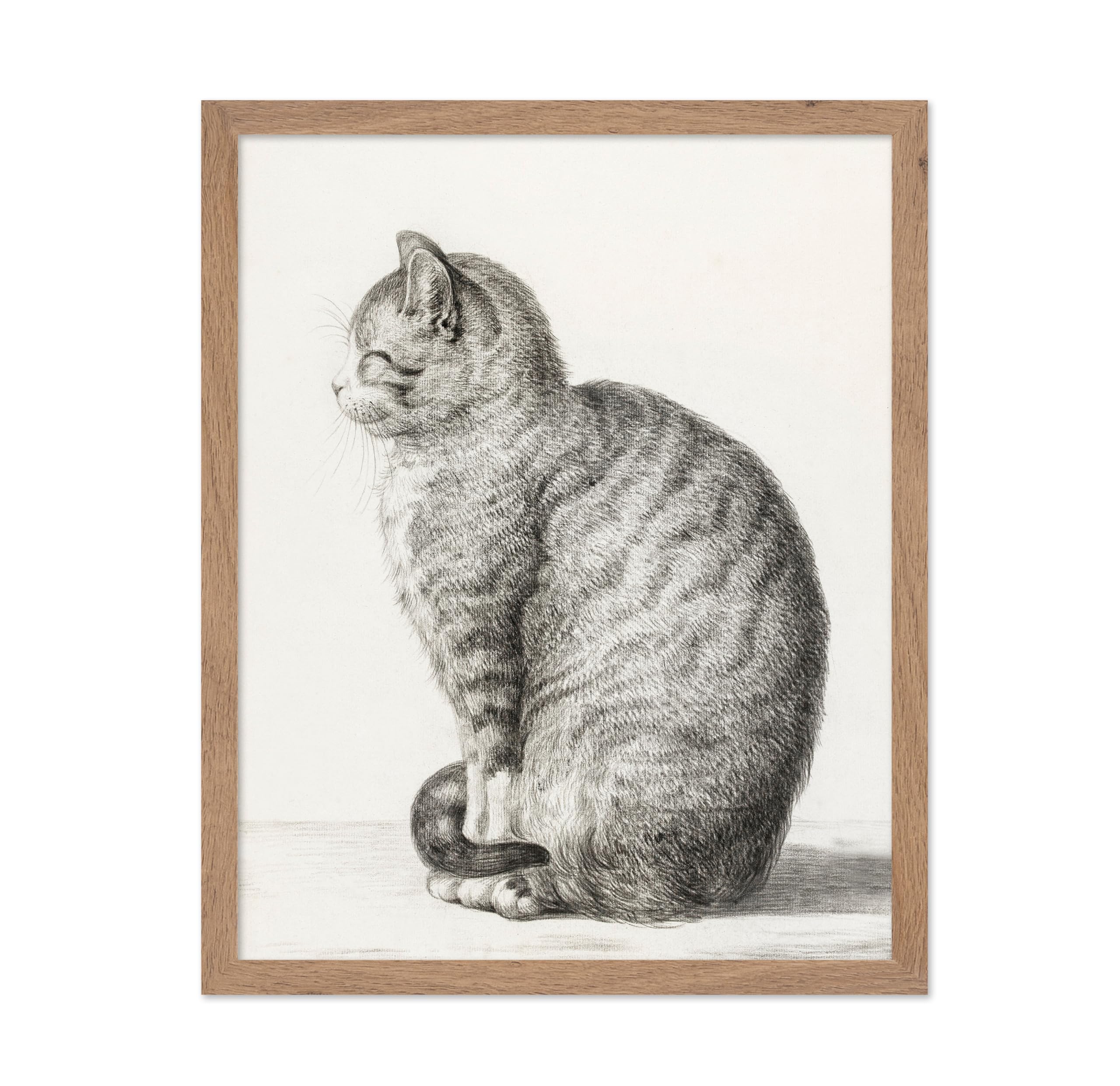 Poster Master Vintage Photograph Poster - Retro Animal Print - Gift for Artist, Friend - Sitting Cat, Feline, Pet, Minimalist, A