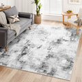 Dripex Modern Abstract Area Rug, Washable 4x6 Rug Soft Fluffy Indoor Carpet Area Rugs for Living Room Bedroom Kids Rooms, Ink Gr
