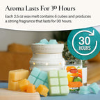 Candle Warmers Etc Classic Wax Melts 2.5Oz, Hot Apple Pie Fragrance (4-Pack) - Each Pack Has X4 2.5 Oz Wax Melts And 30 Hours Of
