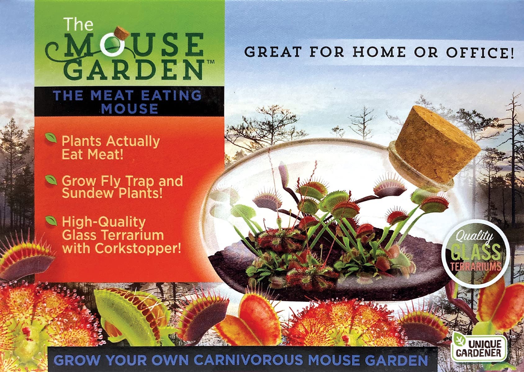Grow Your Own Carnivorous Mouse Garden With Our Glass Terrarium Kit - Fun And Easy To Grow - Plant A Carnivorous Garden That Wil