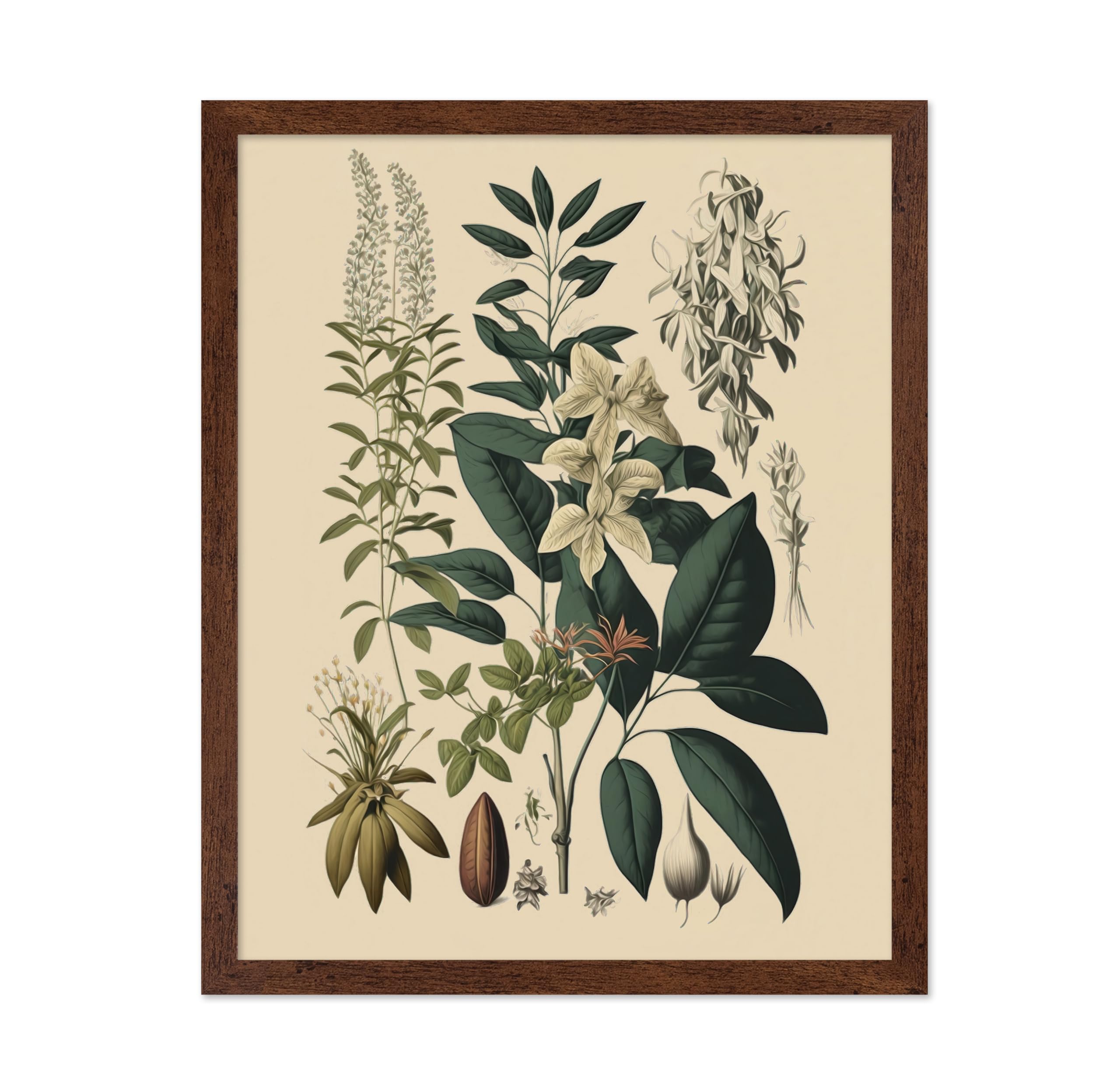 Poster Master Vintage Botanical Poster - Retro Floral Print - Gift for Gardener, Friend - Orchid, White Jasmine, Clethra Alnifol