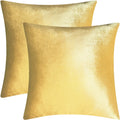 Bunliuys 2 Pack 22X22 Pillow Cover Velvet Pillow Covers, Square Throw Pillow Covers For Living Room Decorations Throw Pillow Cas