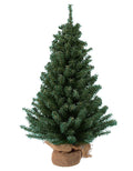 Kurt Adler TR2044 18-Inch Mini Pine Tree