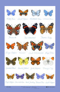 Samuel Lamont 986C Glencoe Butterflies Tea Towel, Cotton