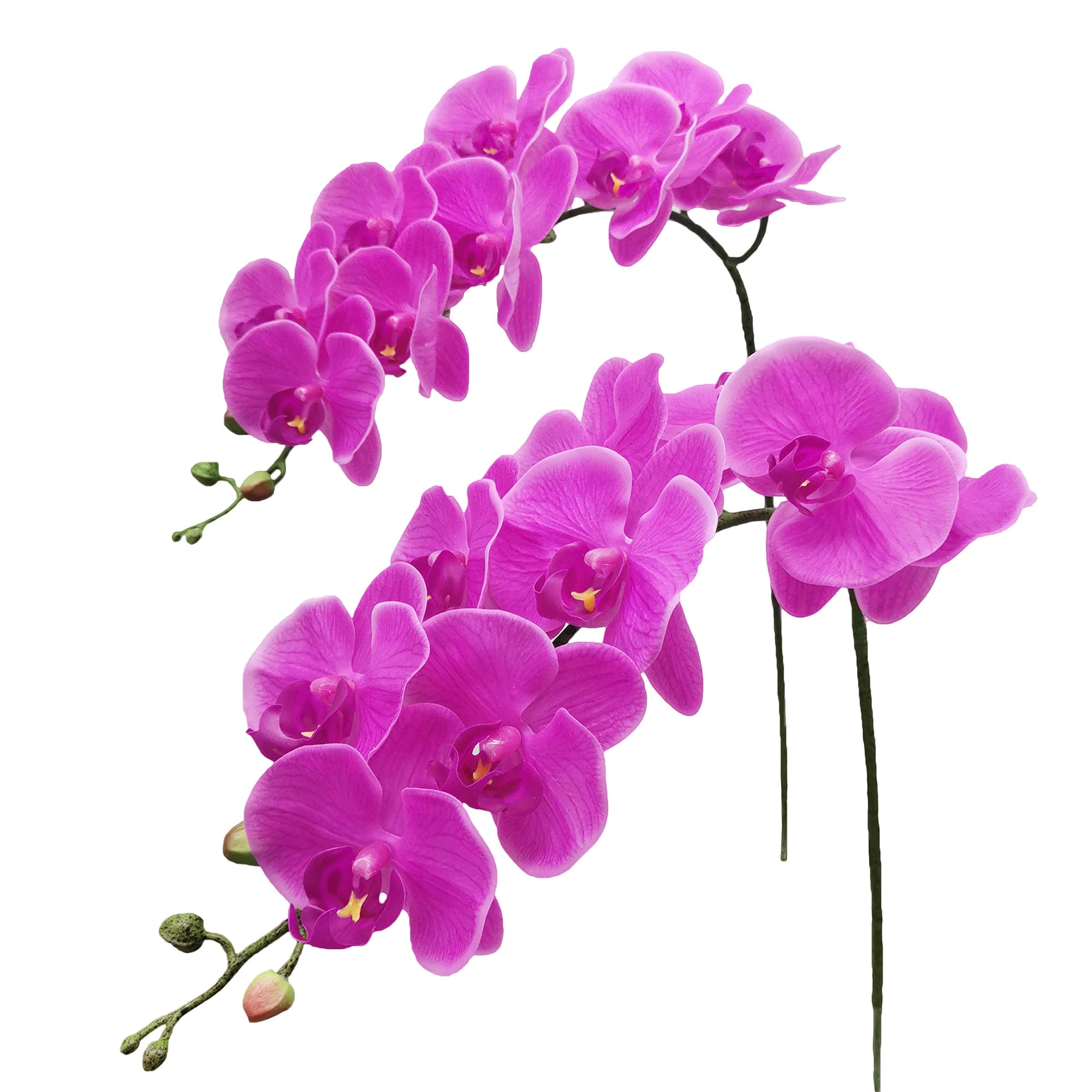 Fnize Artificial Orchid Stems Real Touch Latex Phalaenopsis Branches Faux Cymbidium Flowers 9 Large Petals 38 Inches 2pcs (Rose 