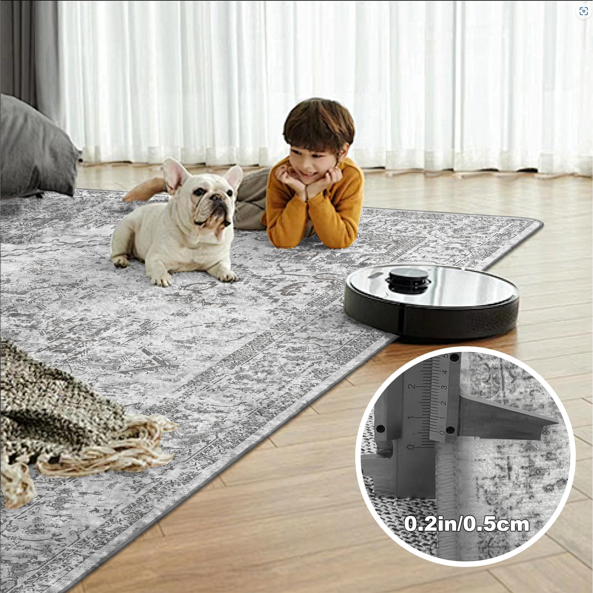 Area Rugs 8X10 Living Room - Machine Washable Rug Large Floor Carpet For Bedroom Dining Room Home